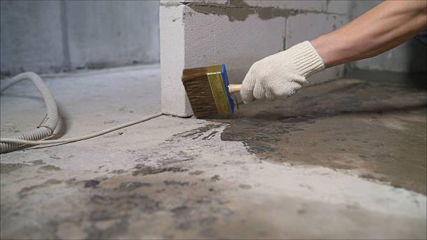 SJ Waterproofing Pros Waterproofing coverage map for Flintville, TN and surrounding area